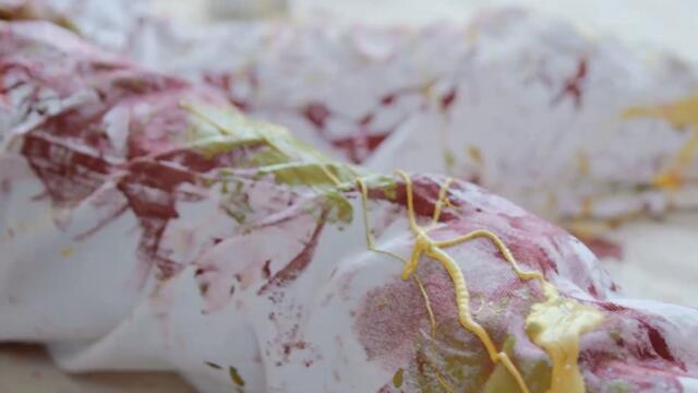 How Washing Machines Work, How to Fix Common Problems and Their Surprising Engineering