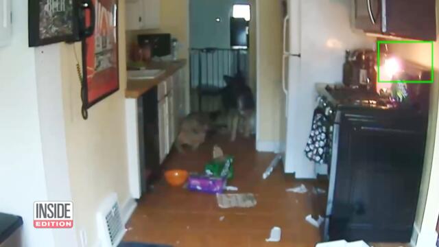 These Stories Will Have You Nervous in Kitchens