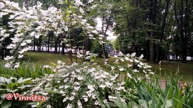 Вот и ЛЕТО пришло👒  НАТАЛИ