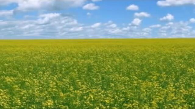 Лето пришло