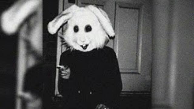 Scotties (238 remix)