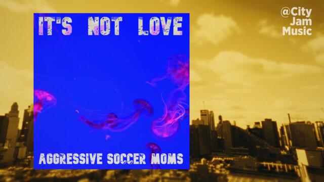 New Song 🟢 Aggressive Soccer Moms - It's Not Love