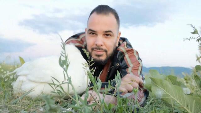 Duck's Diary. Spending together the last few days of Spring.