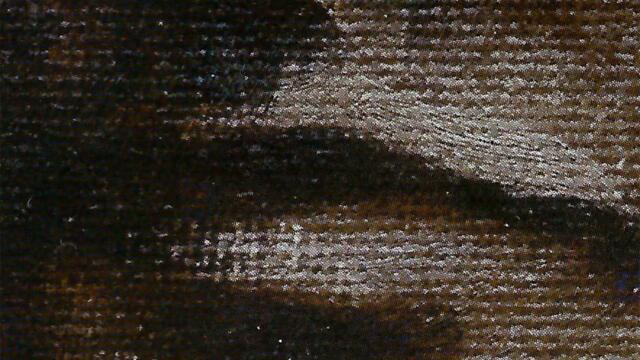 Wind Phoenix (Proper Name)