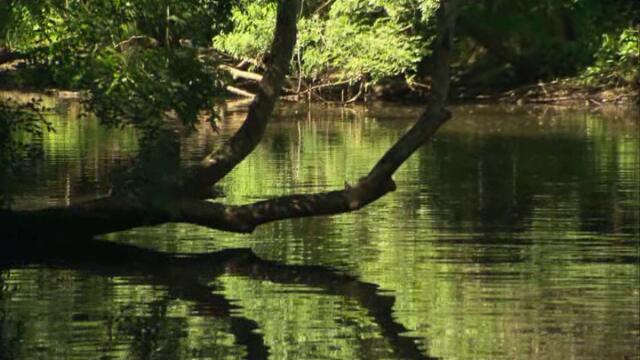 Somewhere to The East-2