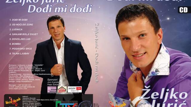 Zeljko Juric-Posavsko srce_2010