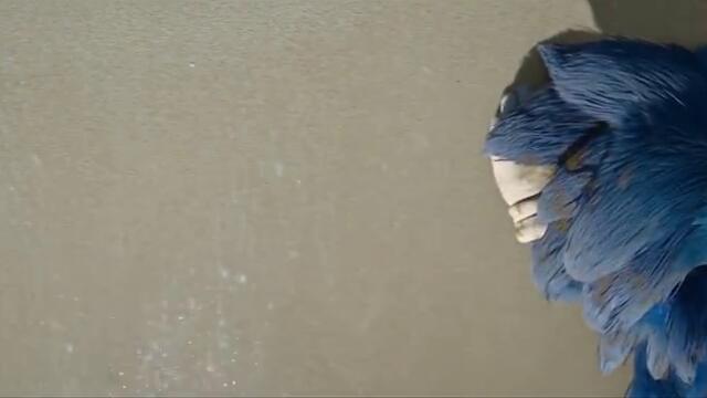 Соник Филмът 2 - Част 4 Бг Аудио