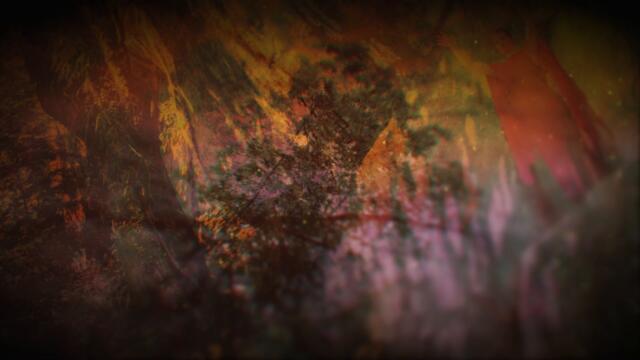 WAKE - Infinite Inward (OFFICIAL)