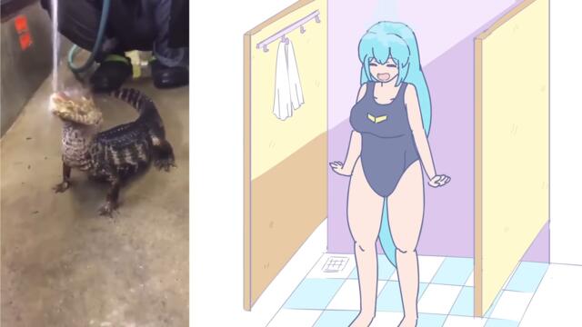 cute croc videos but it's animated