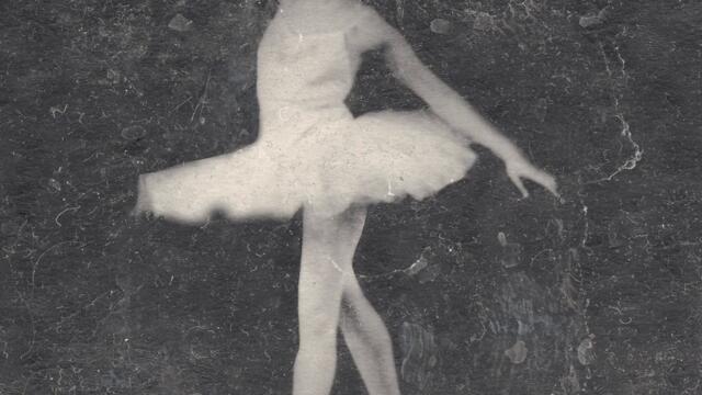 Licentiousness Circle