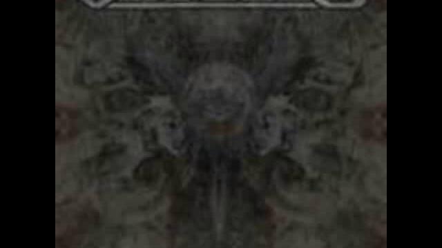 Starseed - The Forlorn