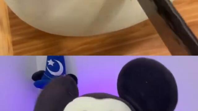 Is the Michael Theodore Mouse ALWAYS RIGHT?!? #shorts