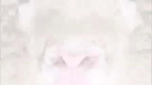 Перник Paradise