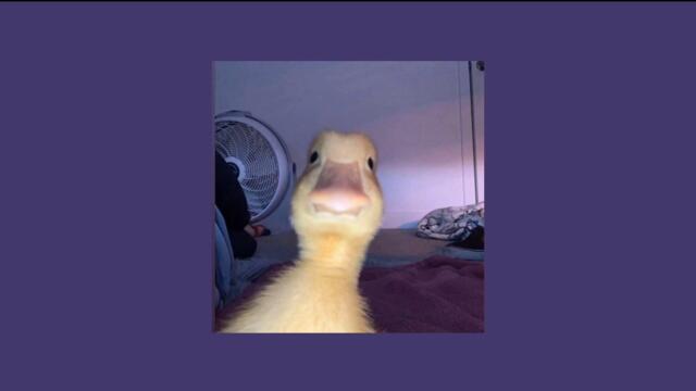 Azis - Sen Trope (Speed Up)