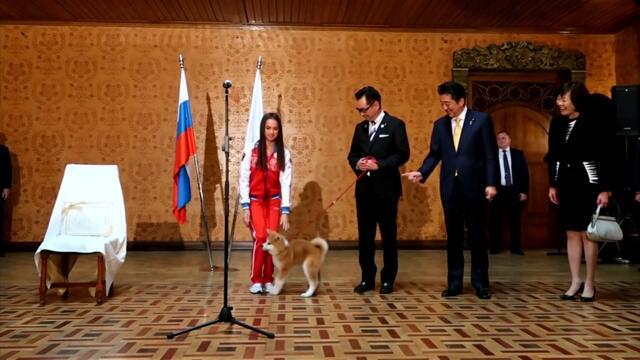 Japan's Abe oversees puppy handover to Russian Olympic champion