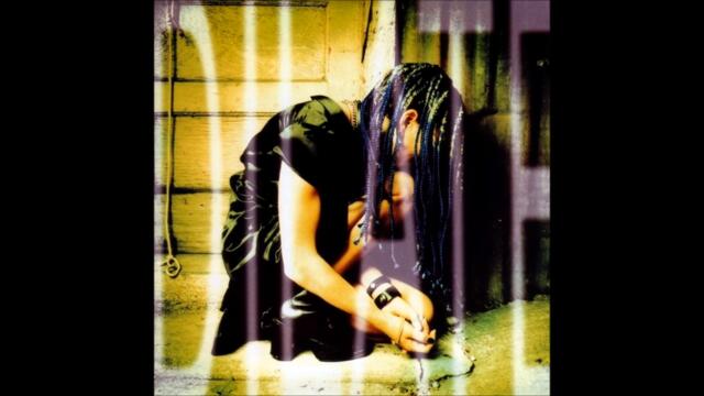 Ani DiFranco - Shameless