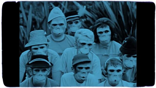 Envy of None - Dumb (Der Dummkopf Remix) Official Lyric Video