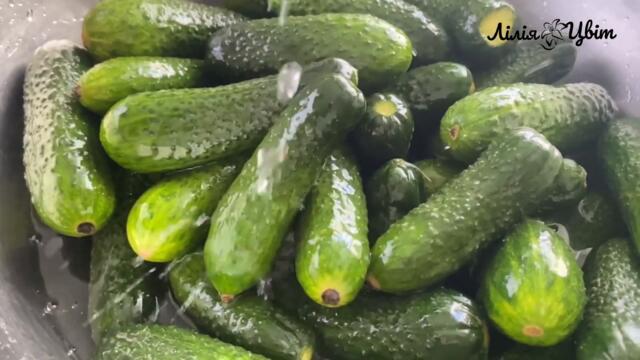 ЦІ ЗАКРУТКИ ТОЧНО З’ЇДЯТЬ! 🥒ОВОЧЕВЕ АСОРТІ НА ЗИМУ 🥒 ЗАКРУТКИ РЕЦЕПТИ 🥒АСОРТІ З ОГІРКІВ РЕЦЕПТ