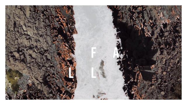 dutchkid - Wildflower (Official Lyric Video)