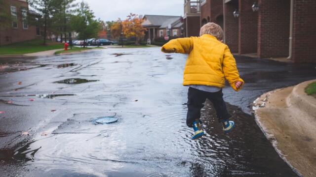 Балканджи - Камене