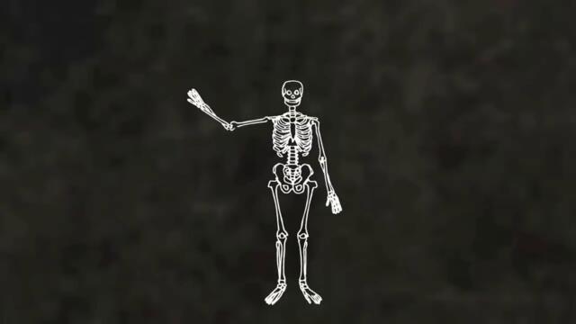 BEN SHEMIE - A Skeleton