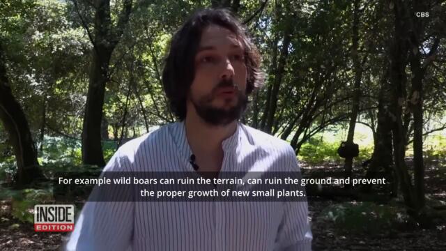 This Robot Tracks Plants and Animals