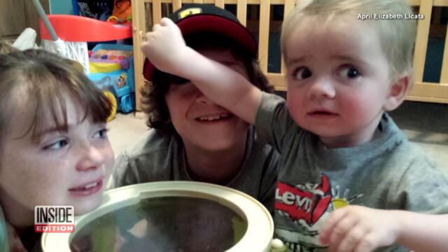 Tearjerking Runaway Pet Reunions