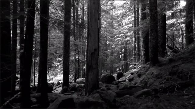 Enigma - Beyond The Invisible (NG Remix)