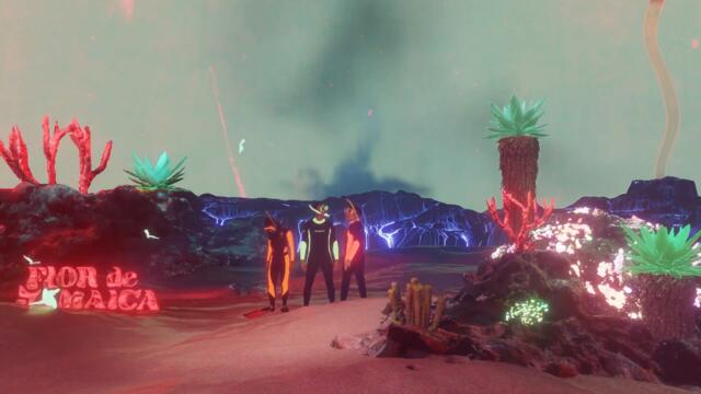 Flor De Jamaica - Entre La Neblina (Visualizer)