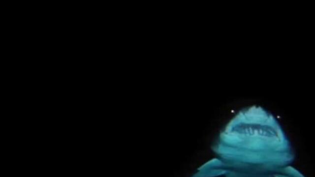 Kind of Like Spitting - Sheriff Ochs