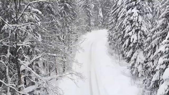 Aephanemer - Snowblind (Lyric Video)