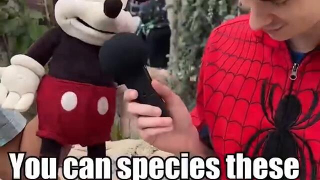 MICKEY GOES WAY TOO FAR ON Disney trivia #shorts