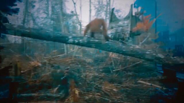 EVERDAWN - The Last Eden (OFFICIAL Lyric Video)