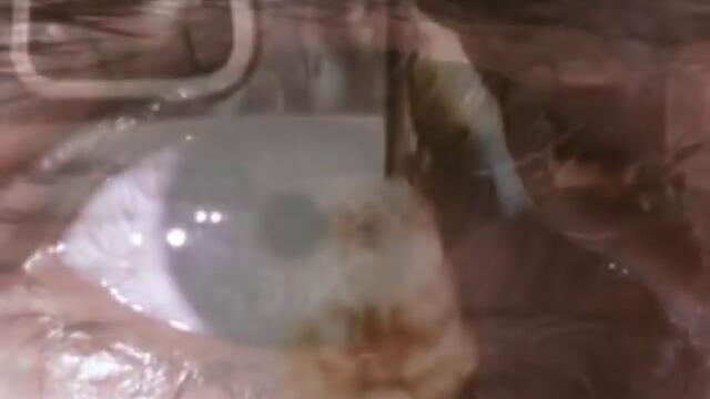 Peter Gabriel - In Your Eyes