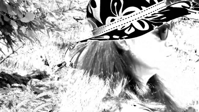 Спектакъл "Птицата" от Ива Панева _ трейлър