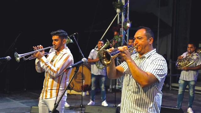 ELVIS AJDINOVIC&DEMKO KING - KRALJICA COCEK COVER