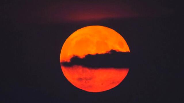 Брачная или Ореховая Луна: какие неприятности принесет Полнолуние в сентябре.