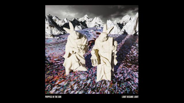 Puppies in the Sun - Futuro