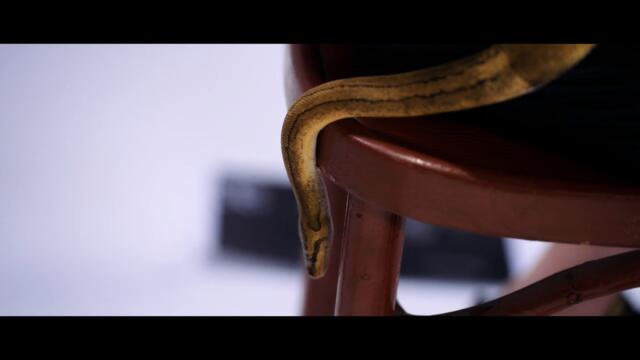 TEO ft. STELLA - GRYAH _ Тео ft. Стела - Грях _ Official video 2022