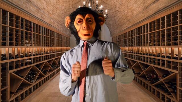 The Cool Greenhouse - Landlords (OFFICIAL VIDEO)