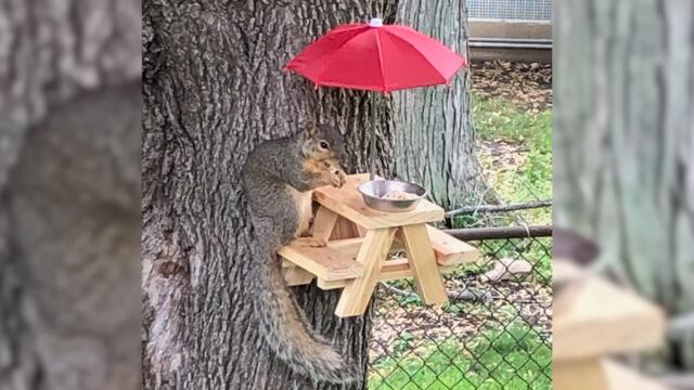 В такой семье не соскучишься