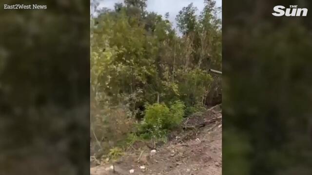 Ukrainian army shows off 'war trophies' of abandoned Russian equipment, weapons and ammo