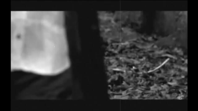 Petra Ivanovic-Nisam od kamena_2012