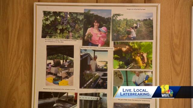 Westminster to host 38th annual Maryland Wine Festival