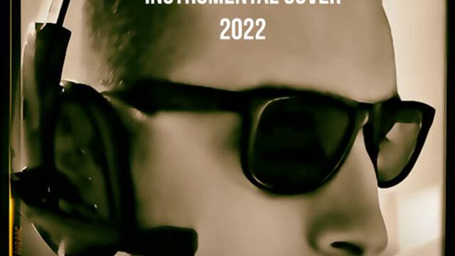 D. N. - Mira Skoric Oboje cu da odlezim Instrumental Cover 2022