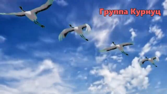 Группа Курнуц  -  Журавли (cover)