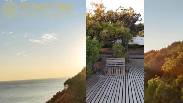 В полнолуние на фестивале в Дюрсо.