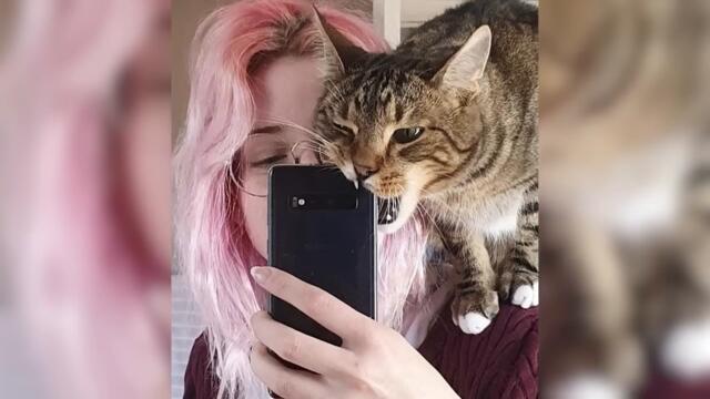 Животные дома это весело!