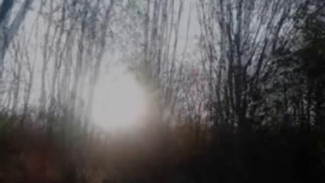 Aphex Twin - Rhubarb