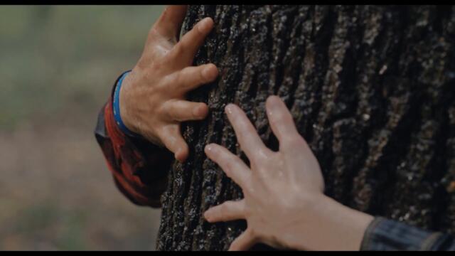 ЖИРИ - официален трейлър